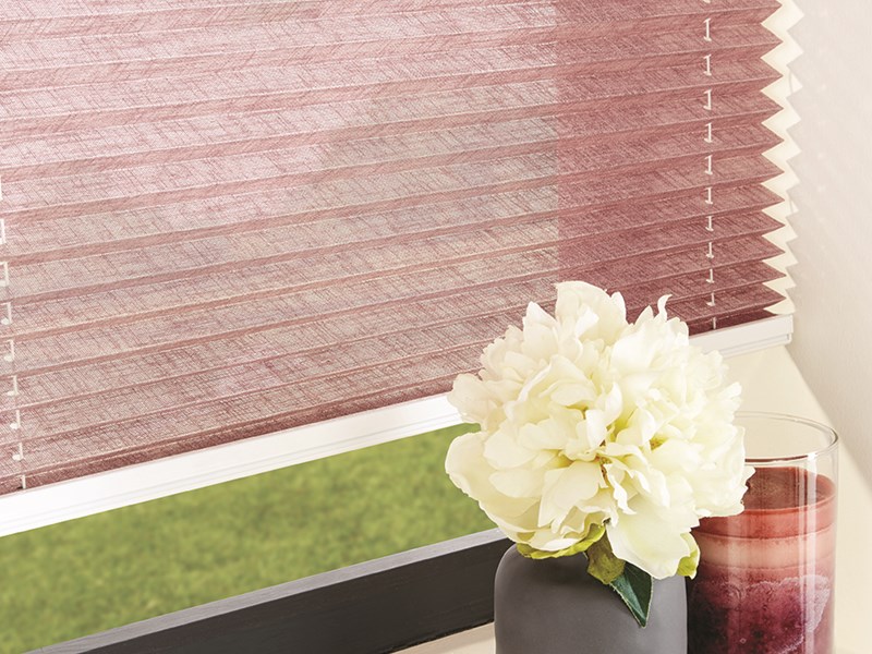 Pleated Blinds